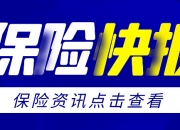 人保车险   品牌优势——快速了解燃油汽车车险,人保财险政银保 _2025年丙烯酸行业发展趋势及投资分析