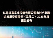 今年2万亿置换隐债的专项债已全部披露