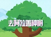 首批8所高校试点：在蚂蚁森林种树可得实践学分