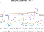 巴西雷亚尔在央行干预后上涨2.4%
