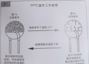 2025蚕养殖及加工市场深度分析及发展趋势研究预测_保险有温度,拥有“如意行”驾乘险，出行更顺畅！