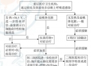 香港呼吸道疾病快速诊断技术取得突破