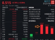 CXO概念走强 昭衍新药涨停