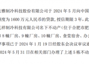 鼎胜新材(603876.SH)：拟吸收合并全资子公司江苏荣丽达进出口有限公司