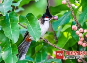 立方风控鸟·早报（1月7日）