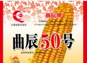 （2025年1月8日）今日玉米期货和美玉米最新价格查询