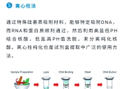 圣湘生物获得发明专利授权：“除废液机构及核酸提取装置”