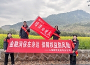 2025年美体行业市场调查及未来发展趋势_人保财险政银保 ,人保服务