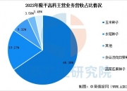 2025中国汽车检测行业市场深度分析及发展前景预测_人保财险政银保 ,人保护你周全