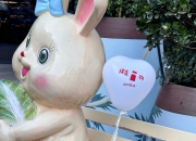 机器人助力幸福生活｜电子导盲犬让视障人士“看见”生活点滴