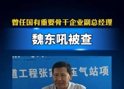 你知道吗，国家管网集团竟还是绿电创造者？