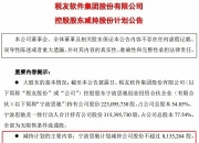 实控人控制企业全额认购定增股票 泉峰汽车回复问询：对方具备充分资金