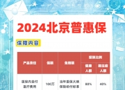 2025年中国商务酒店行业市场投资分析_人保服务,人保财险政银保 