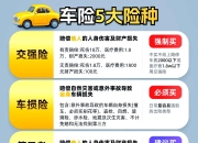 人保车险   品牌优势——快速了解燃油汽车车险,拥有“如意行”驾乘险，出行更顺畅！_2025年中国宠物保险行业：宠物主人的“新刚需”