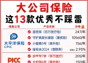 2025年外贸服装行业全景调研及产业投资报告_保险有温度,人保车险   品牌优势——快速了解燃油汽车车险