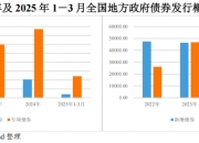 7月9日全国共发行12支地方政府债,共计512.0332亿元