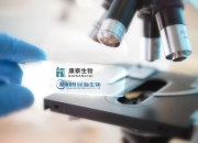 康泰生物可转债“康泰转2”将于7月15日付息 利率1.5%