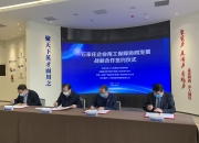 人保财险政银保 ,人保护你周全_2025中国颜料行业市场竞争与市场规模、未来发展前景预测
