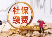 美团宣布养老保险补贴将全国上线，预计可覆盖超百万名骑手