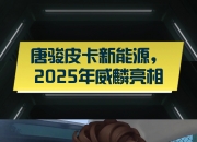 人保服务,拥有“如意行”驾乘险，出行更顺畅！_2025中国皮卡行业市场全景调研及市场规模、投资价值分析