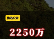 万邦医药：截止2025年7月10日股东人数为10,343户