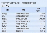 2025中国盐碱地治理行业调查分析及市场需求、未来发展前景展望_人保服务 ,人保服务