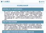 2024年化工新材料行业的市场发展现状及投资价值评估分析_保险有温度,人保车险