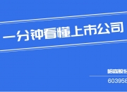 哈森股份（603958）2026年一季报简析：营收净利润同比双双增长