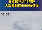 中国向联合国发出警告：日本具有提取武器级钚能力足以制造约5500枚核弹头！日本陆自部队新徽章被评“好战”意味强烈