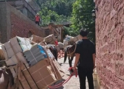 2026-2030年中国腌肉行业：广式、川式、湘式“三足鼎立”下的标准之战_人保财险 ,拥有“如意行”驾乘险，出行更顺畅！