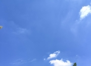 今年首个高温天将至，下周全国多地将冲击40℃！今年真会迎来史上最热夏天？中国气象局回应