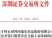 山东山大电力技术股份有限公司拟IPO