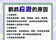 野生鹦鹉会通过社会学习迅速接受未知食物