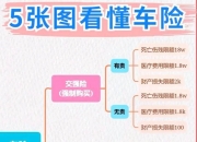 保险有温度,人保车险   品牌优势——快速了解燃油汽车车险_2026-2030年生态农业产业：数据要素变现，农业碳汇与供应链金融的新增长极