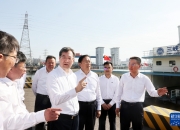 2026益生菌产业深度调研：全球与中国双轮驱动，增长动能强劲_拥有“如意行”驾乘险，出行更顺畅！,人保护你周全
