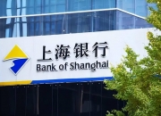 广东华润银行更名后再收罚单，去年营收大幅下滑，资本充足指标持续承压