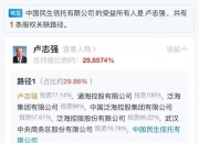 巨人网络：选举史玉柱为公司董事长