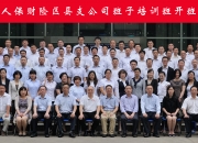 2026护发素行业市场规模分析及未来发展形势预测_人保服务,人保有温度