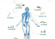 芬兰开发出能模仿天然骨骼的3D打印植入材料