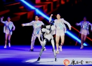 超万名高校学子奔赴义乌 引才聚智赋能“世界超市”