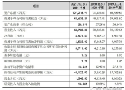 紫光国微：拟19亿元购买瑞能半导100%股权