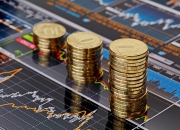 聚辰股份：上半年净利润同比预增124.93%