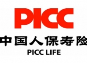 2024年人工心脏行业发展现状、竞争格局及未来发展趋势与前景分析_人保车险   品牌优势——快速了解燃油汽车车险,人保服务
