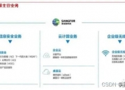 中国入侵检测行业发展环境分析及相关技术调研_人保车险   品牌优势——快速了解燃油汽车车险,人保伴您前行
