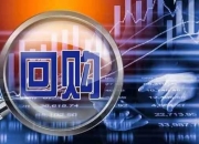 盛弘股份累计耗资2098万元回购75.32万股