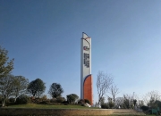 8月6日祥源文旅涨停分析：动漫，旅游，知识付费概念热股