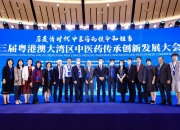 报告：大湾区GSSS债券发行规模二季度环比增长一倍