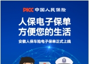 中国人脸识别行业深度调研及投资战略预测_人保服务 ,人保伴您前行