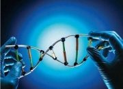 微生物行业发展现状、前景趋势研究分析_保险有温度,人保护你周全
