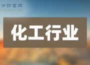 2024电子化学品行业市场现状、前景趋势研究分析_人保财险政银保 ,人保护你周全